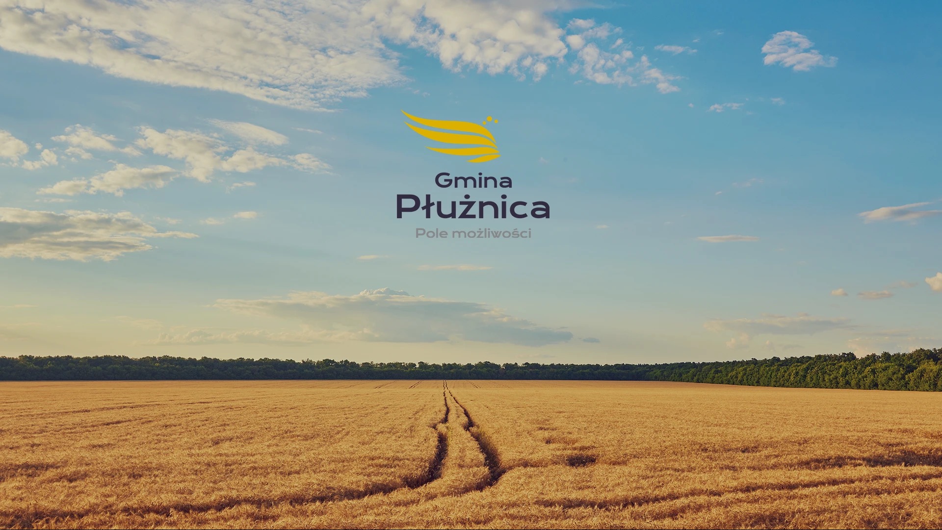 Logo Gminy Płużnica umieszczone nad polem zboża z widoczną ścieżką i lasem w tle, błękitne niebo z chmurami.