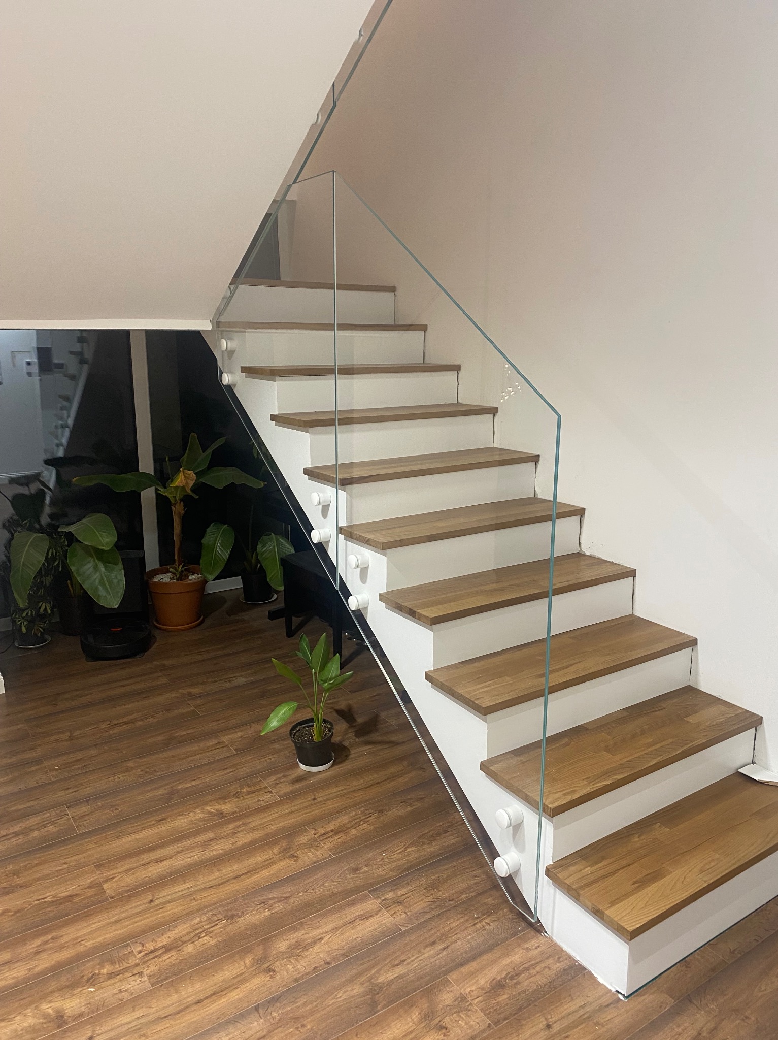 Nowoczesne schody z drewnianymi stopniami i szklaną balustradą, widok z dołu, z roślinami w tle. Minimalistyczny design.