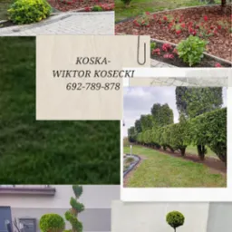 Kompozycja kolażu zdjęć przedstawiających różnorodne aranżacje ogrodowe: rabaty kwiatowe z korą, formowane tuje w szpalerze, drzewka ozdobne z kulistymi koronami i dekoracyjne gałęzie,...