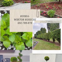 KOSKA-Wiktor Kosecki - Kompozycja zdjęć z różnymi elementami ogrodu: rabaty kwiatowe z korą i czerwonymi kwiatami, formowane krzewy wzdłuż trawnika, ozdobne drzewka formowane w kule i spirale, detale roślin z białym...