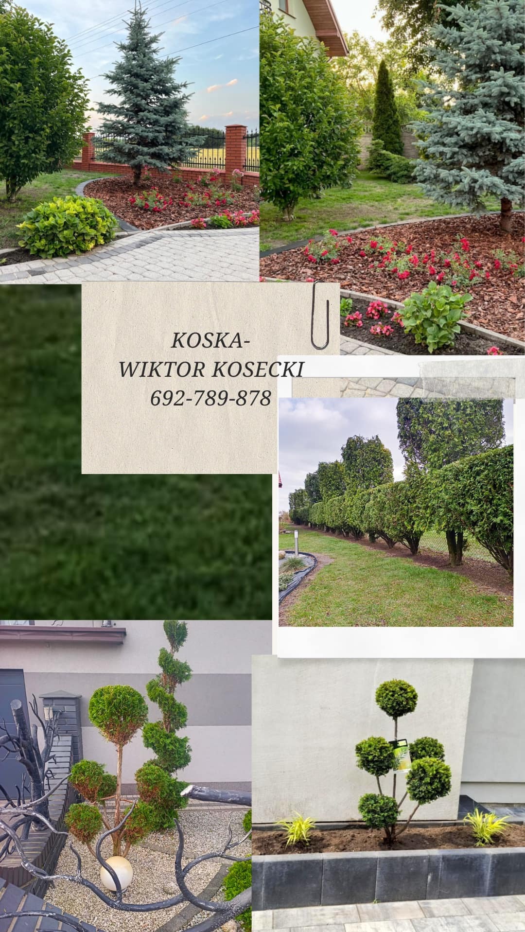 Kompozycja kolażu zdjęć przedstawiających różnorodne aranżacje ogrodowe: rabaty kwiatowe z korą, formowane tuje w szpalerze, drzewka ozdobne z kulistymi koronami i dekoracyjne gałęzie,...