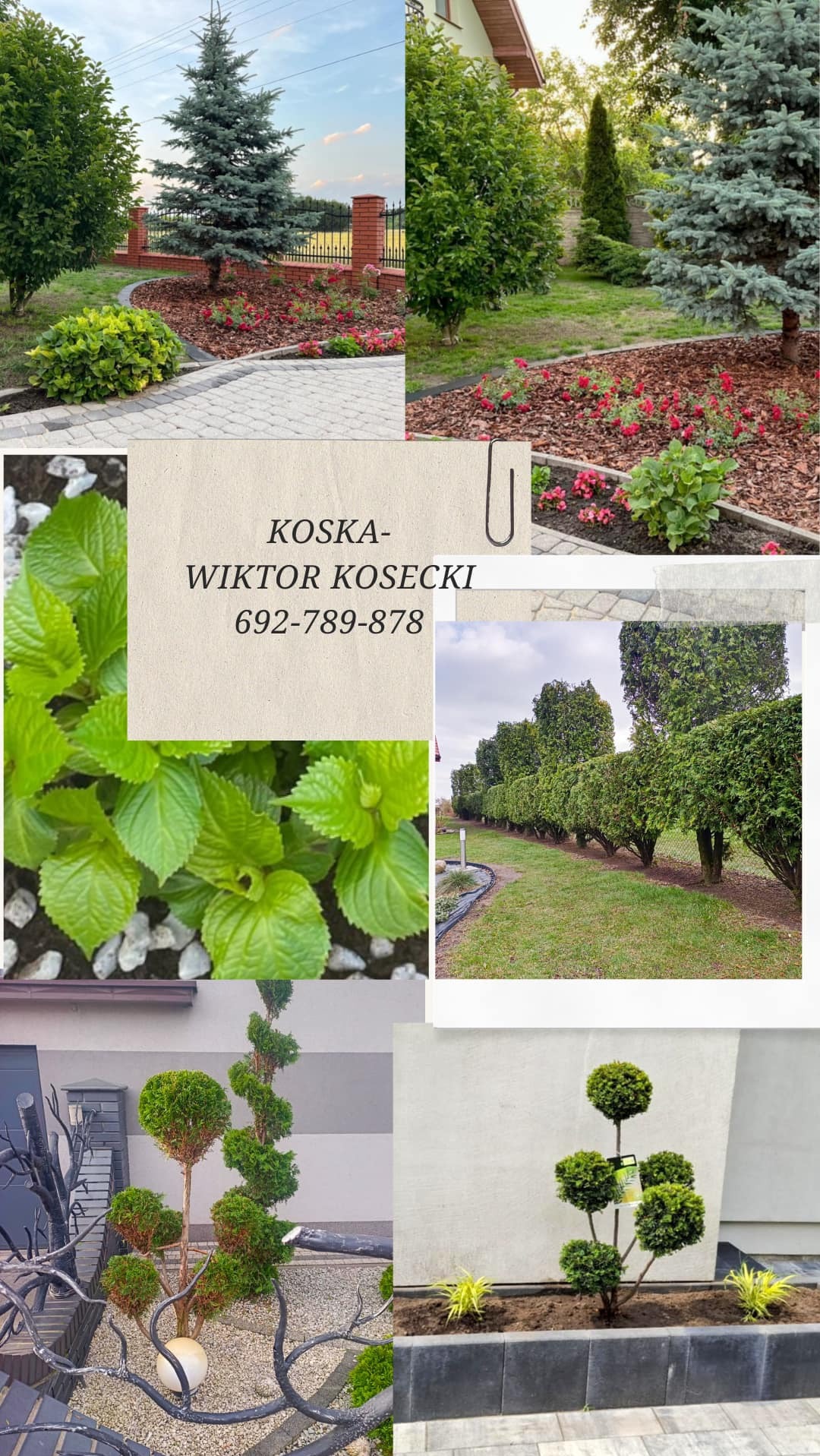 Kompozycja zdjęć z różnymi elementami ogrodu: rabaty kwiatowe z korą i czerwonymi kwiatami, formowane krzewy wzdłuż trawnika, ozdobne drzewka formowane w kule i spirale, detale roślin z białym...