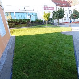 Ogrody Lemon - Świeżo założony trawnik z rolki przed budynkiem Akademii Handlowej, z widocznymi drzewami i chodnikiem z kostki brukowej. Słoneczny dzień.