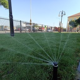 Trawa z rolki Pionki 4