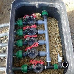 Trawa z rolki Pionki 3