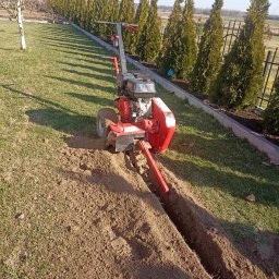 Trawa z rolki Pionki 2