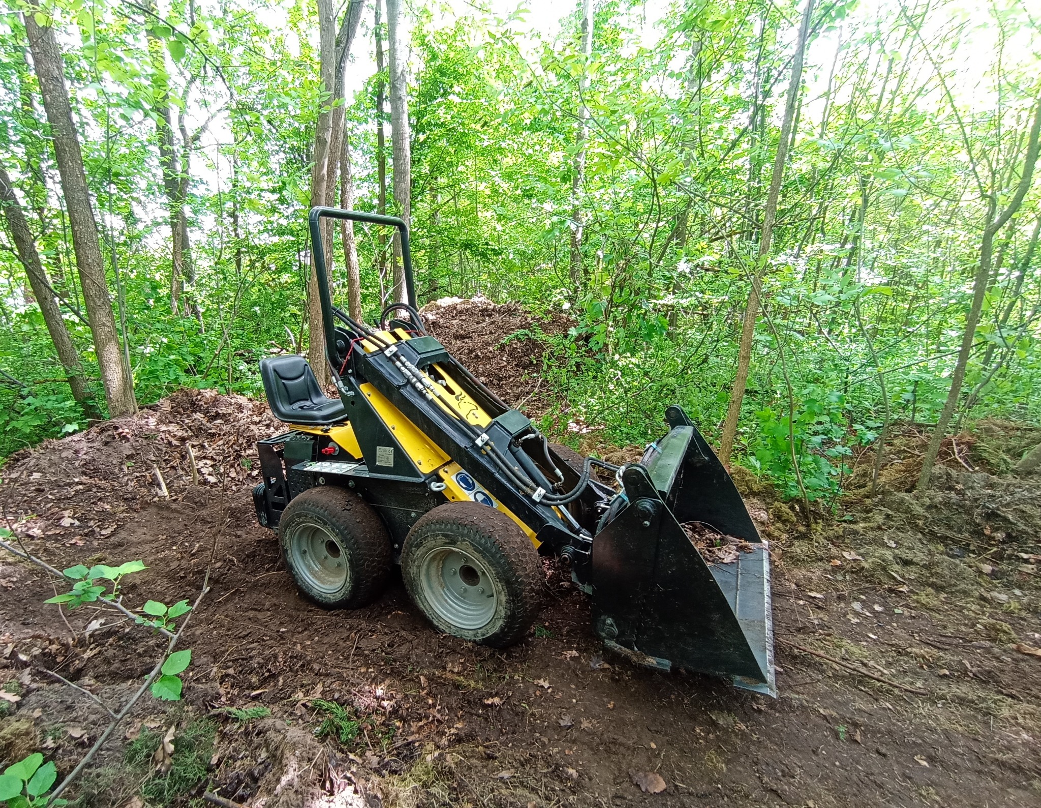 Żółto-czarna mini ładowarka na tle leśnym, z widoczną stertą ziemi i liści, sugerująca prace ziemne lub porządkowe w terenie zalesionym.