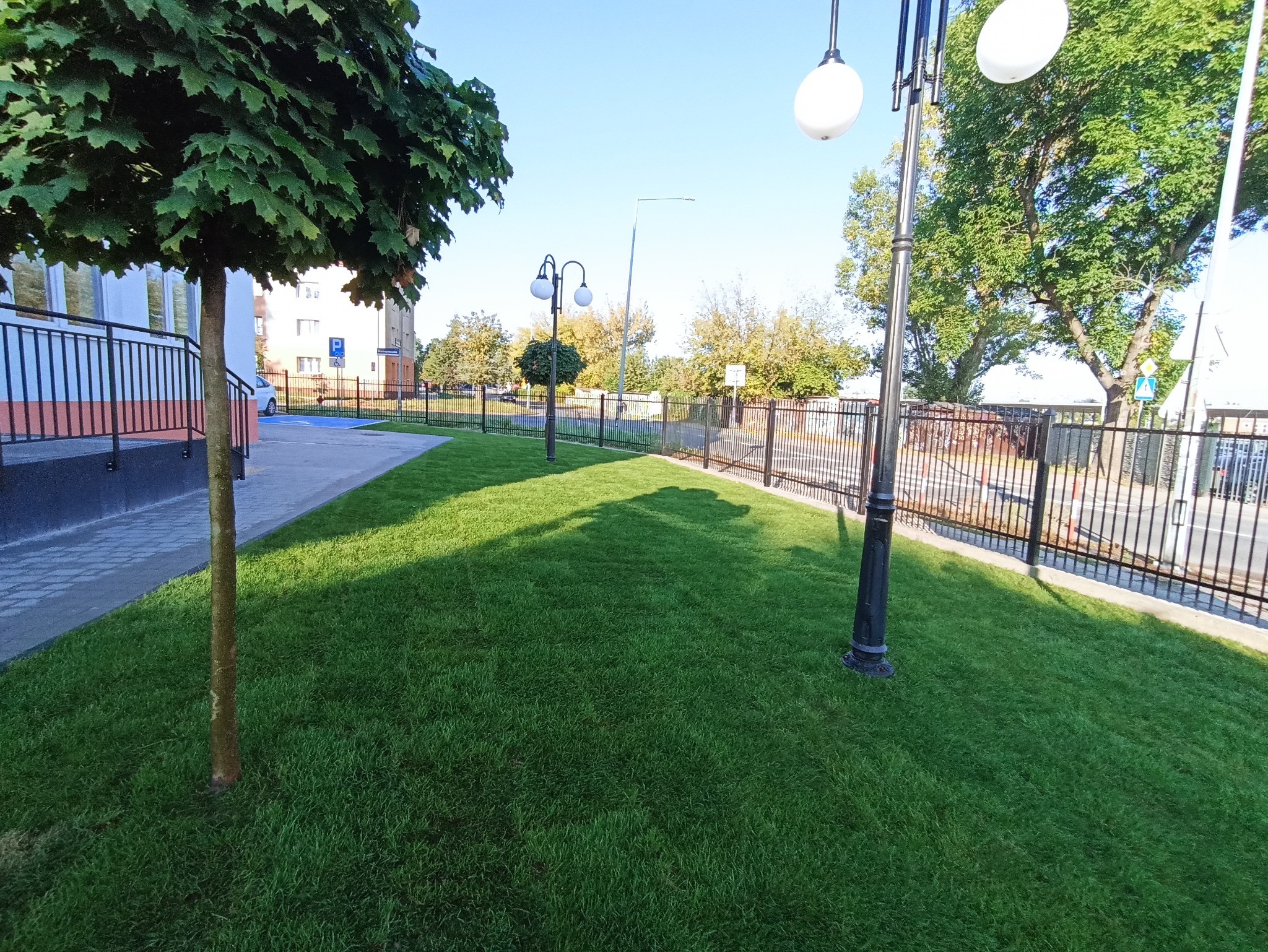 Świeżo założony trawnik z rolki przed budynkiem, oświetlony popołudniowym słońcem, z widocznymi lampami parkowymi i drzewem. Trawa gęsta, równo przystrzyżona.