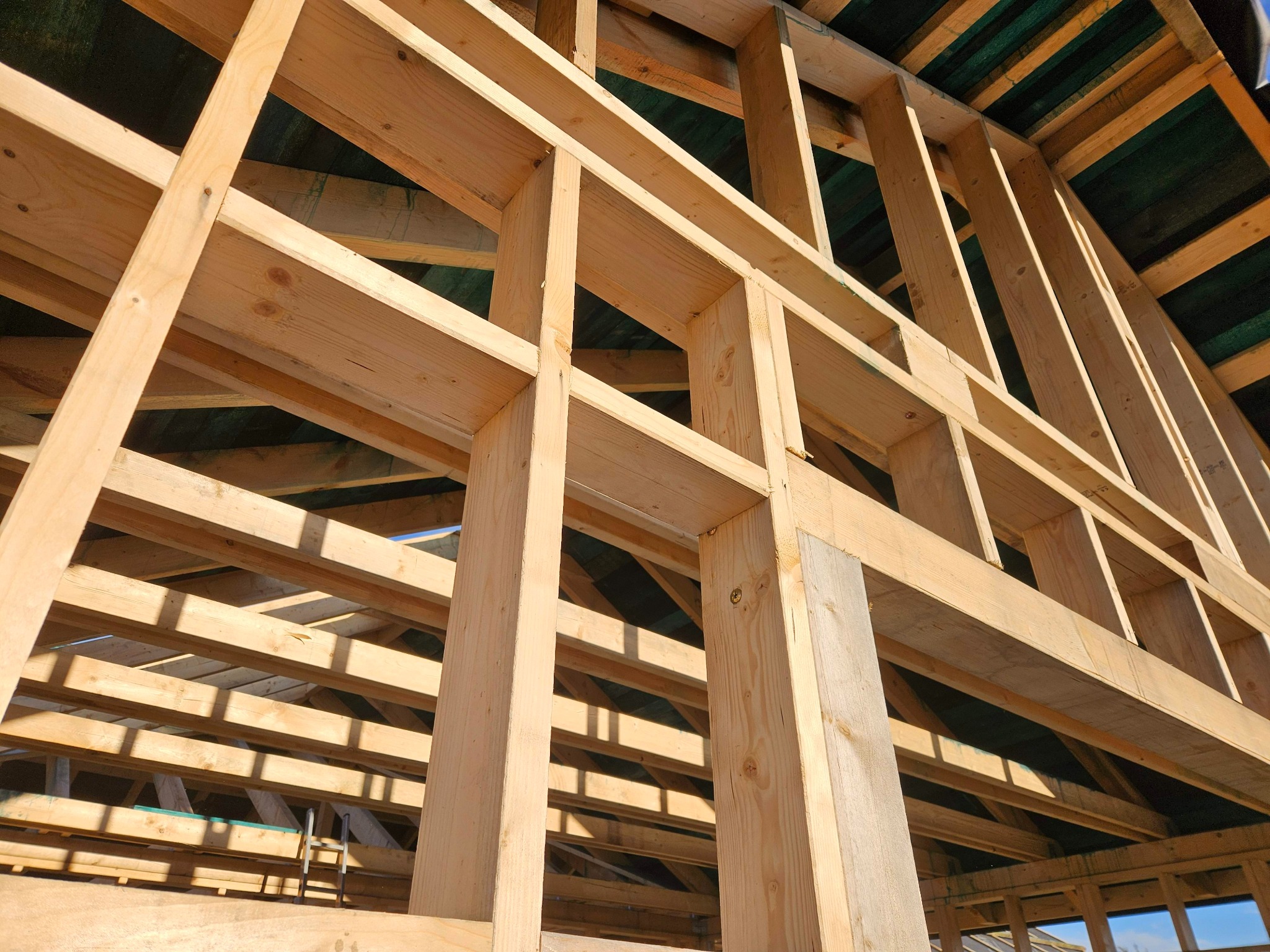 Surowe drewno tworzy szkielet domu w budowie, widoczne z dołu pod kątem, z zieloną membraną dachową i jasnym niebem w tle. Konstrukcja w trakcie wznoszenia.