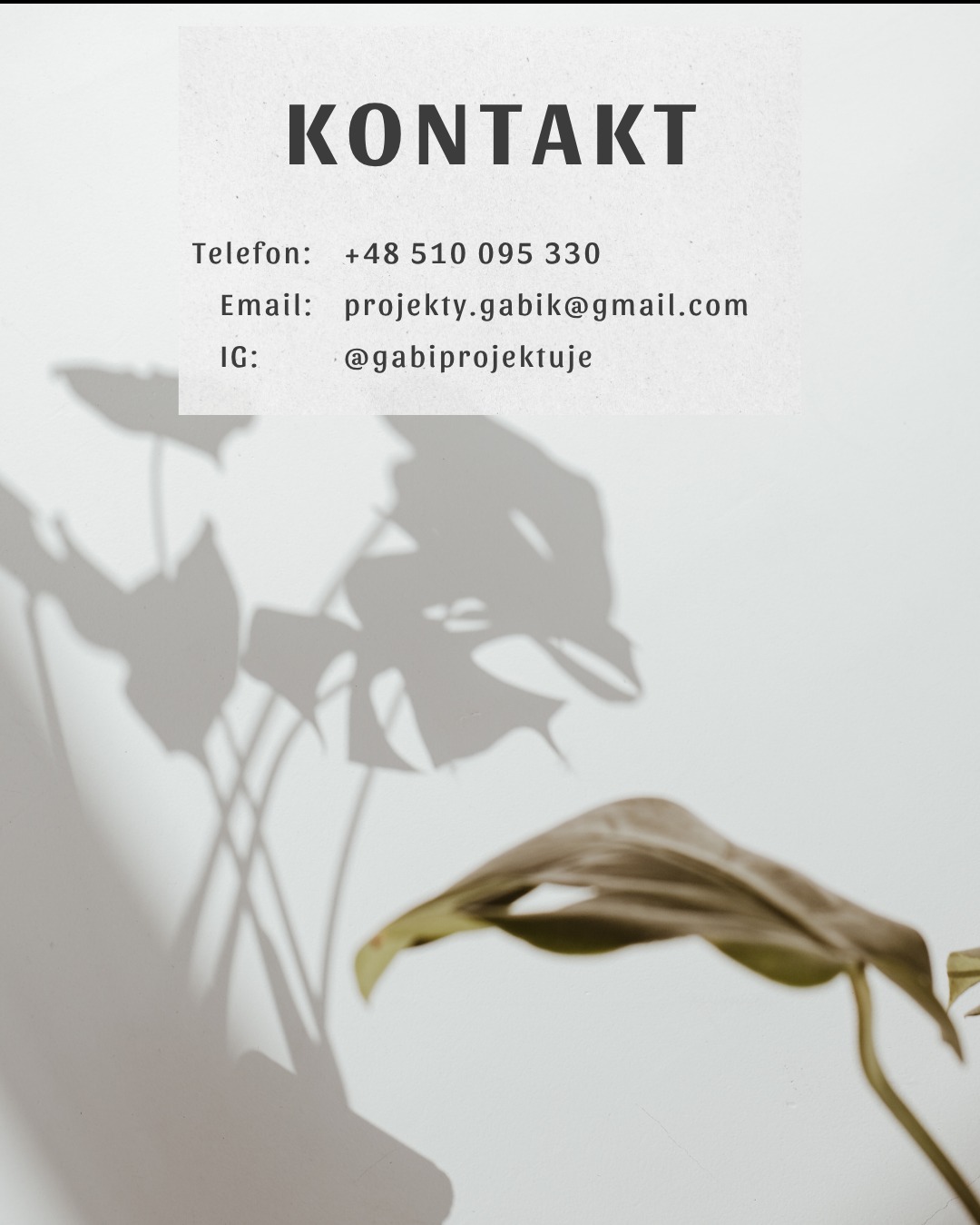 Kontakt: Telefon, email i Instagram na jasnym tle z cieniem rośliny monstera i fragmentem liścia. Minimalistyczny design.