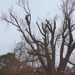 Tech-Garden - Wyjątkowa Budowa Ogrodów Łódź