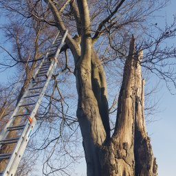 Tech-Garden - Profesjonalne Wycinanie Drzew Łódź