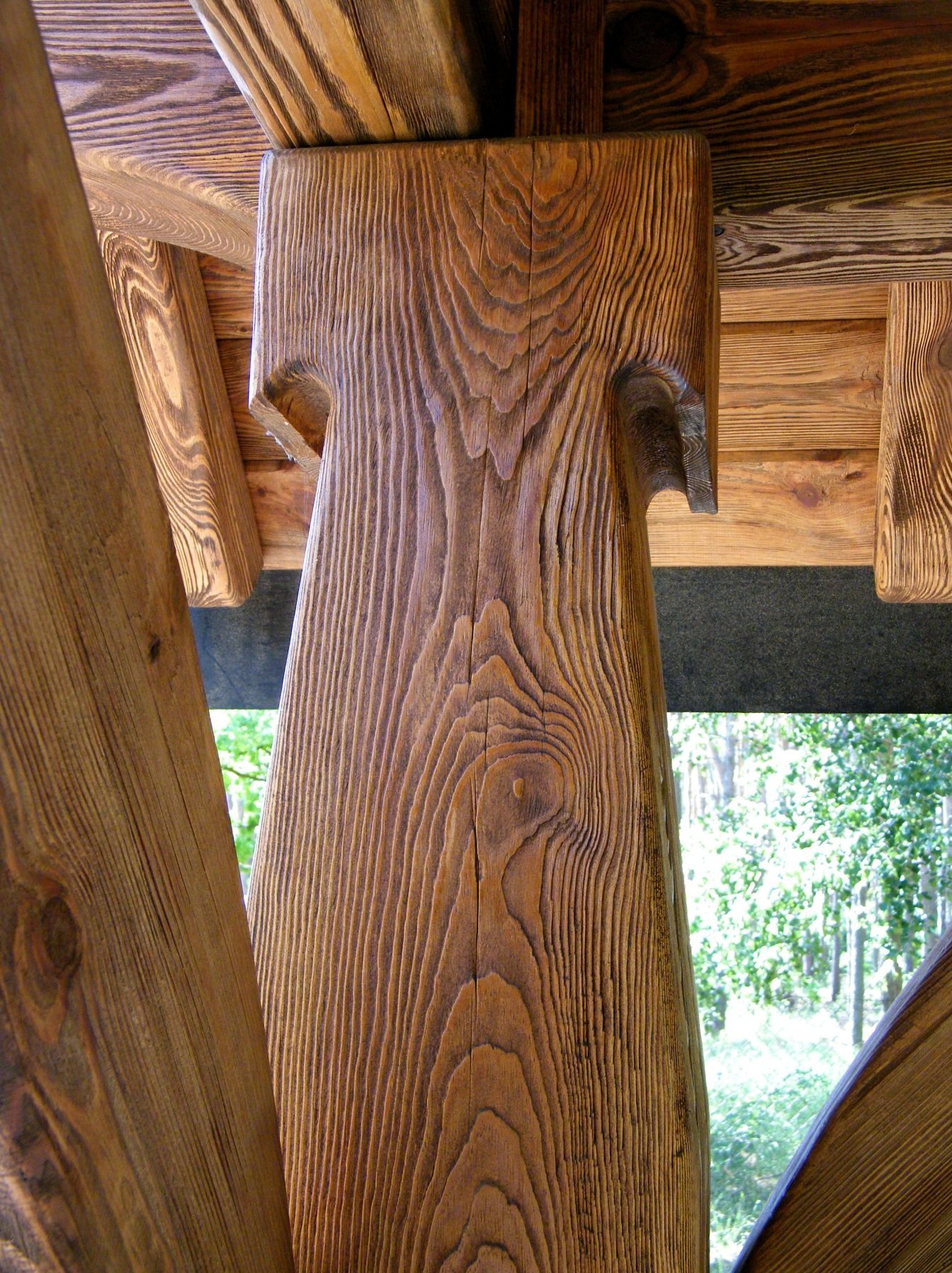 Detal drewnianej konstrukcji z widocznym rysunkiem słojów, element nośny z charakterystycznymi wycięciami, tło z zielenią drzew.