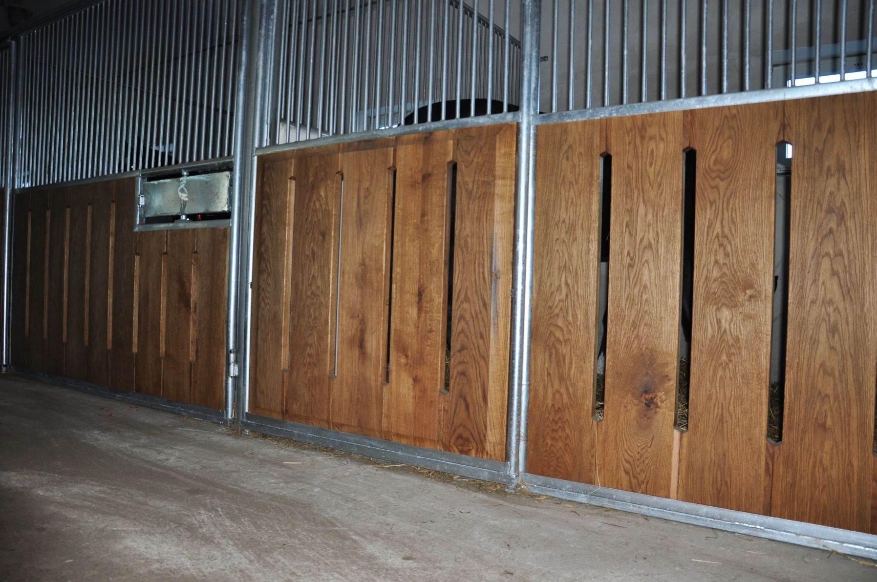 Wnętrze stajni z drewnianymi panelami oddzielającymi boksy, metalowe pręty u góry, betonowa podłoga, widoczne źdźbła siana.