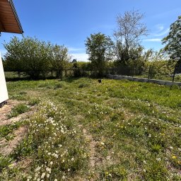 AG Ogrody I Ziemia - Zarośnięty trawnik z dmuchawcami i żółtymi kwiatami, widok z poziomu gruntu. Trawa wymaga pielęgnacji, w tle drzewa i ogrodzenie.