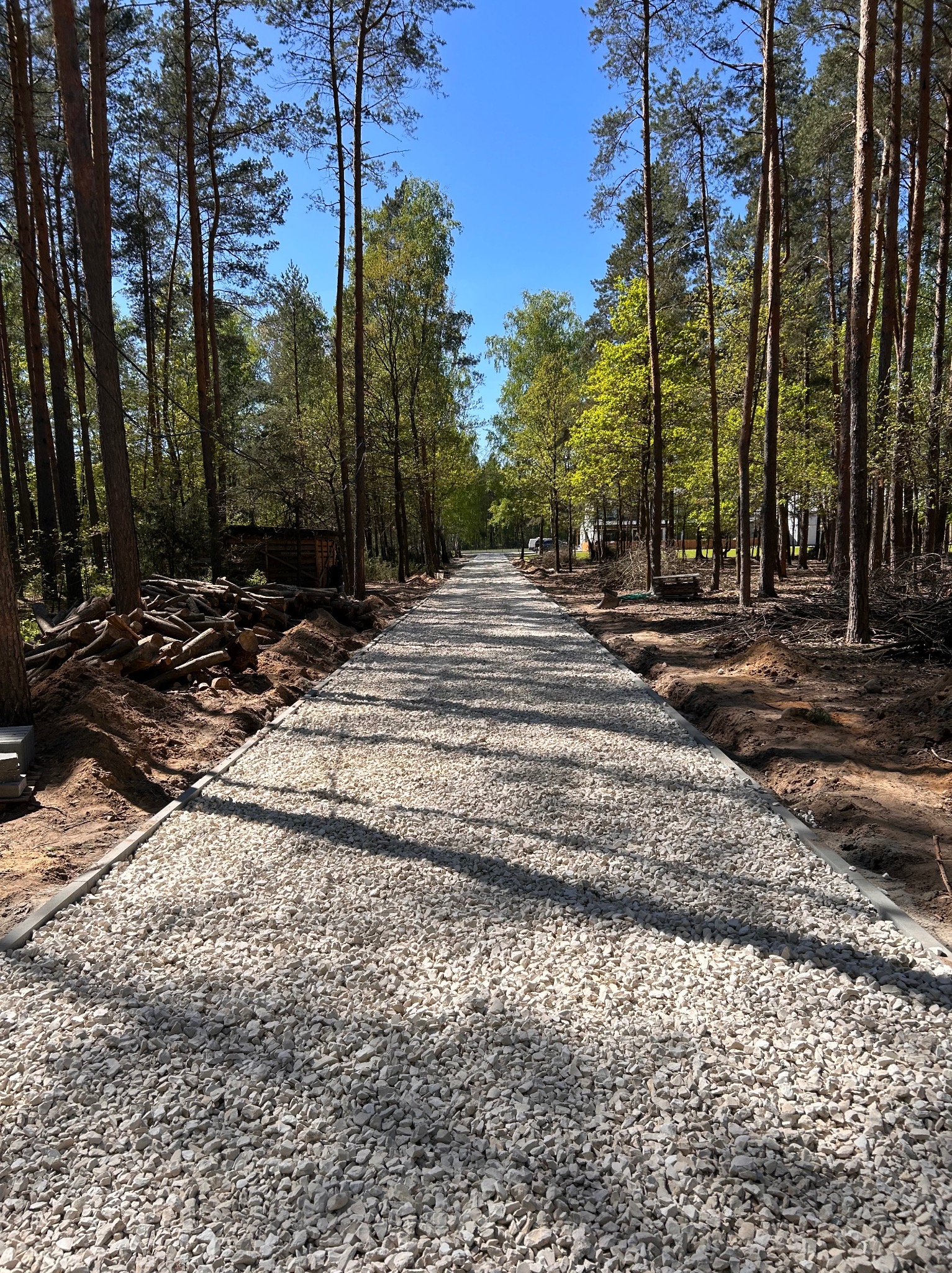 Utwardzona, żwirowa ścieżka przez las, wykończona obrzeżami. Po lewej stronie sterta ściętych pni drzew. Błękitne niebo w tle. Słoneczny dzień.
