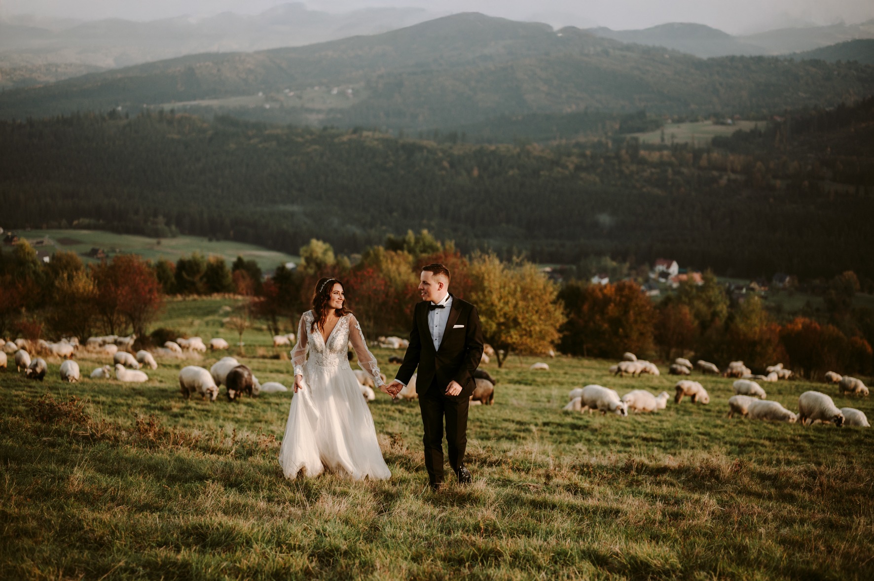 Para młoda idzie po zielonym wzgórzu z pasącymi się owcami, na tle zalesionych wzgórz i gór.