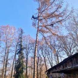 4rope - Doskonałe Sadzenie Roślin Jastrzębie-Zdrój