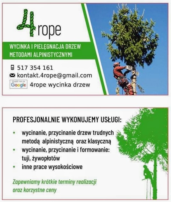 Wizytówka firmy oferującej wycinkę i pielęgnację drzew metodami alpinistycznymi. Na zdjęciu pracownik podczas pracy na drzewie. Kontakt telefoniczny i adres e-mail.