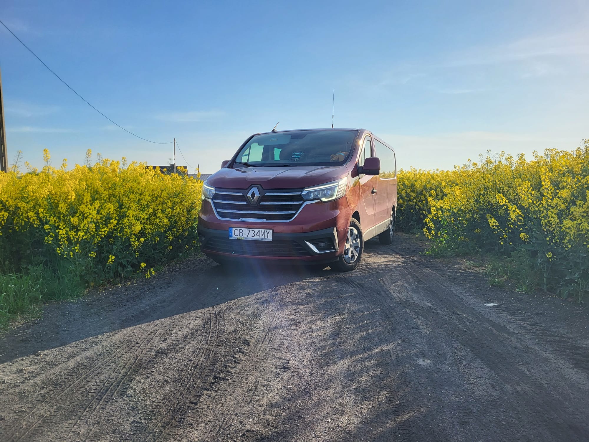 Czerwony bus Renault Trafic zaparkowany na polnej drodze, otoczony kwitnącym rzepakiem pod błękitnym niebem.