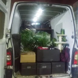 Wnętrze białego busa załadowane kartonami, czarnymi skrzynkami, roślinami doniczkowymi i drapakiem dla kota, przygotowane do transportu.