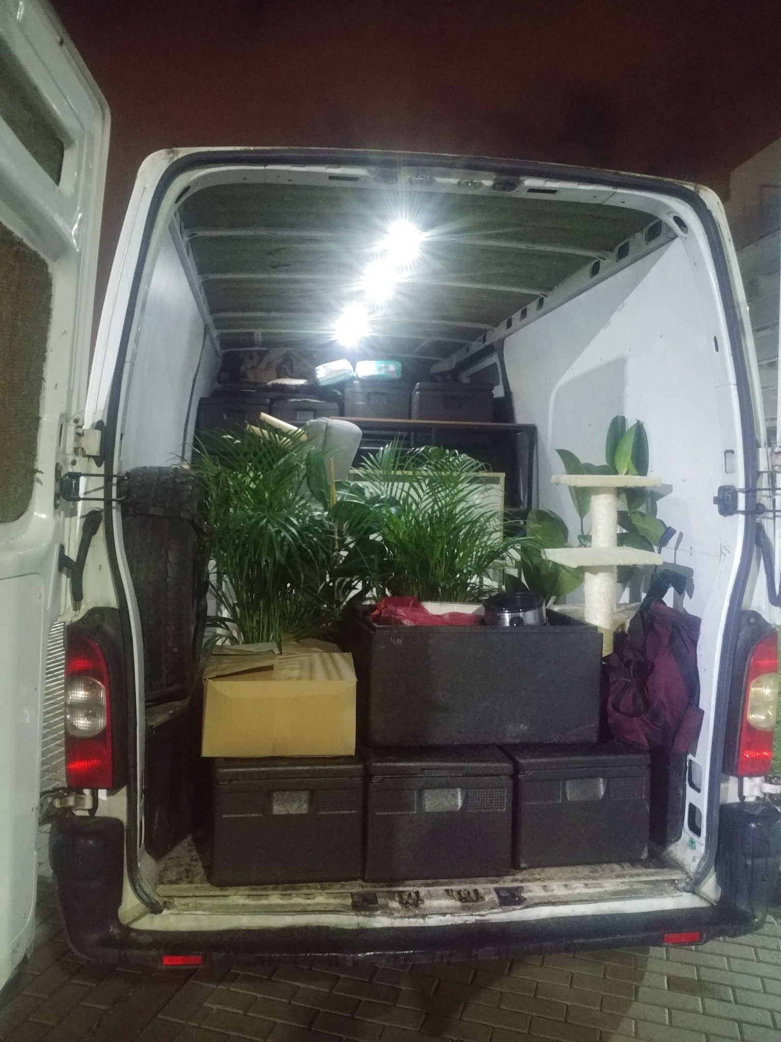 Wnętrze białego busa załadowane kartonami, czarnymi skrzynkami, roślinami doniczkowymi i drapakiem dla kota, przygotowane do transportu.