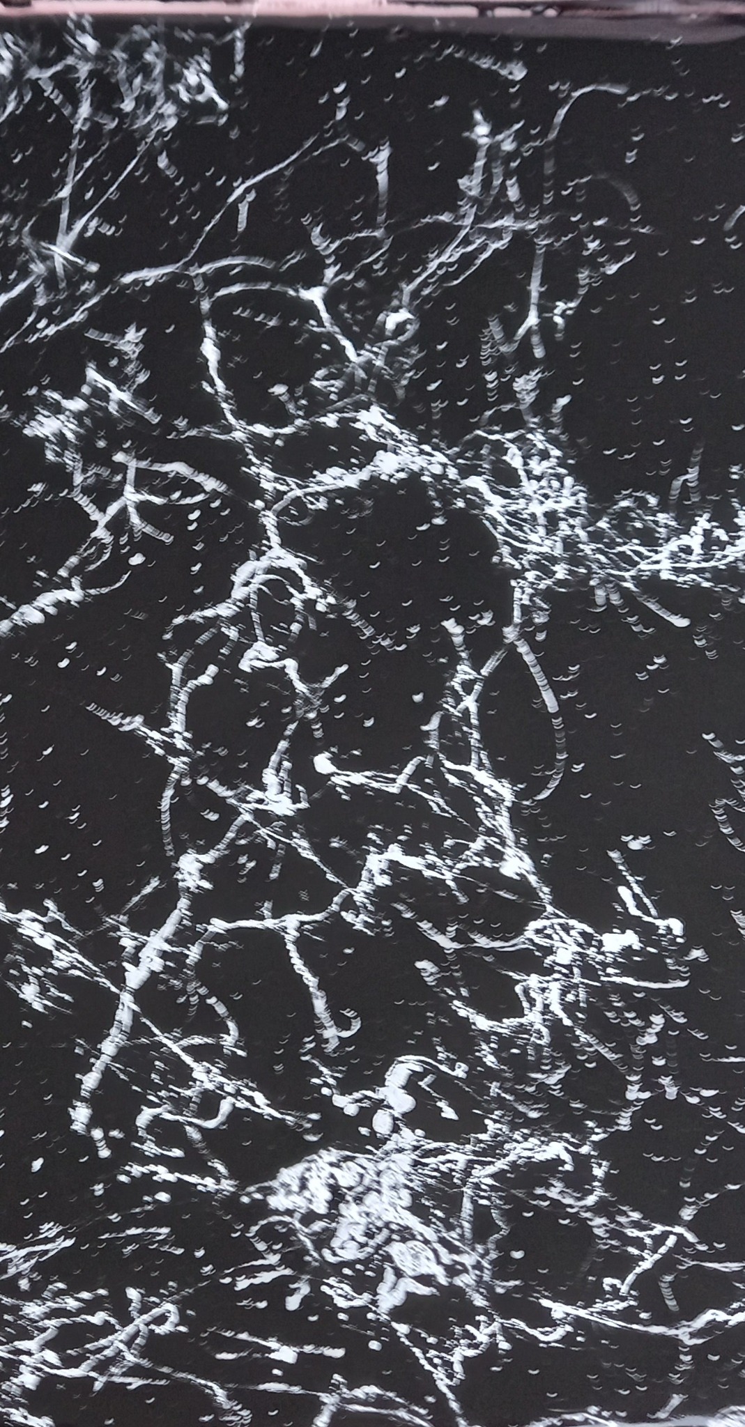 Czarna, błyszcząca posadzka z żywicy epoksydowej, pokryta białymi, nieregularnymi wzorami przypominającymi pęknięcia lub żyłki marmuru. Gładka powierzchnia odbija światło.