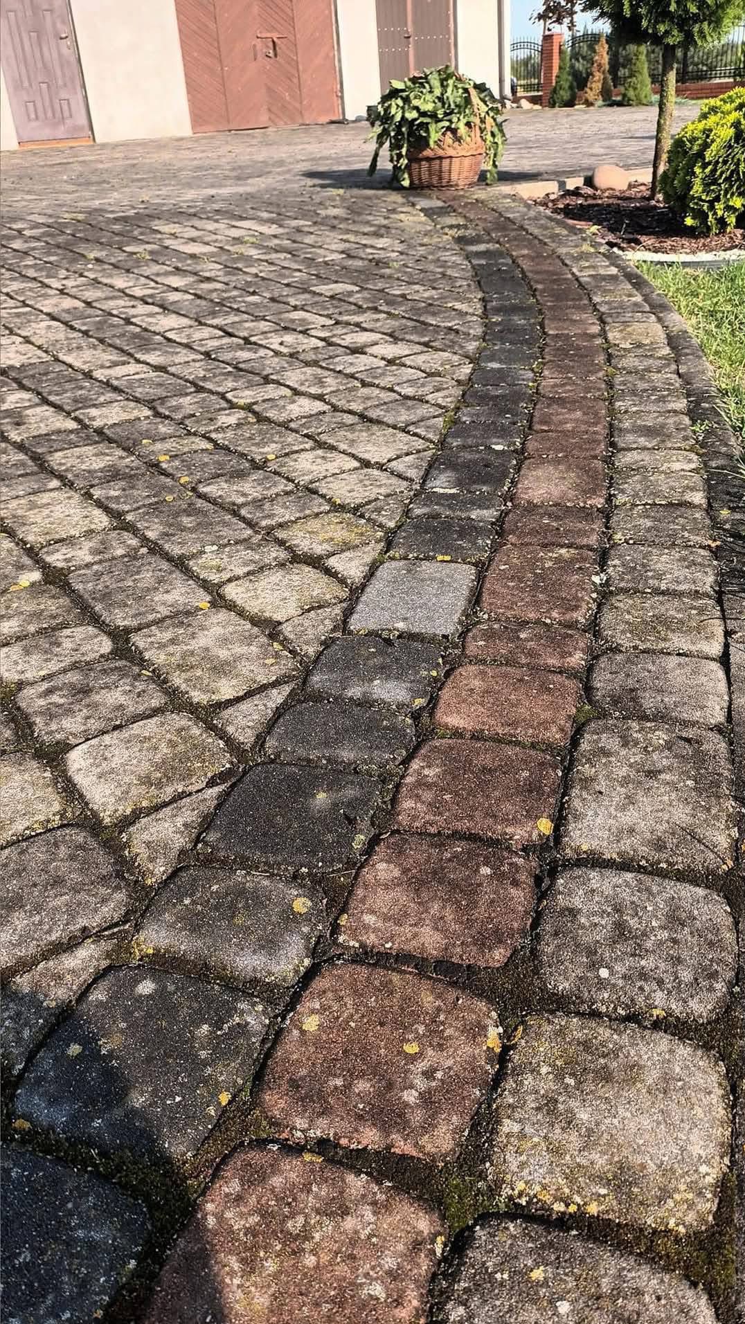 Mokra kostka brukowa ułożona w łuk, z widocznym nalotem i mchem w spoinach, obok brązowych kostek, w tle budynek gospodarczy i dekoracyjny kosz z kwiatami.