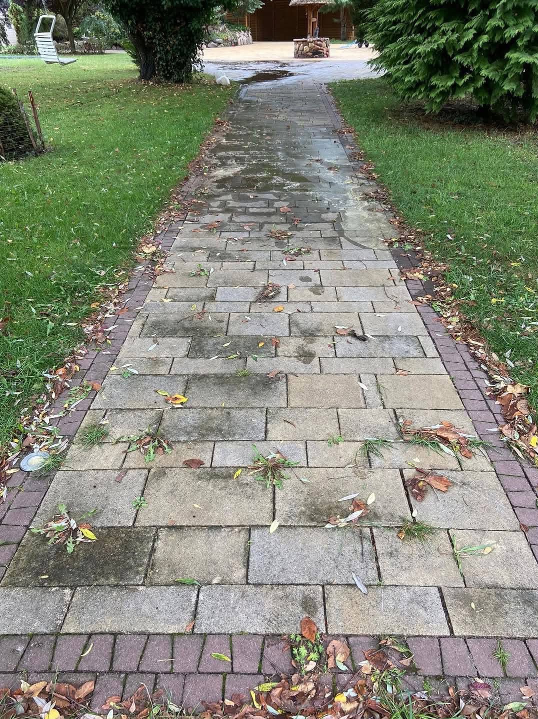 Zaniedbana ścieżka z kostki brukowej, porośnięta chwastami i liśćmi, prowadząca do altany w ogrodzie.