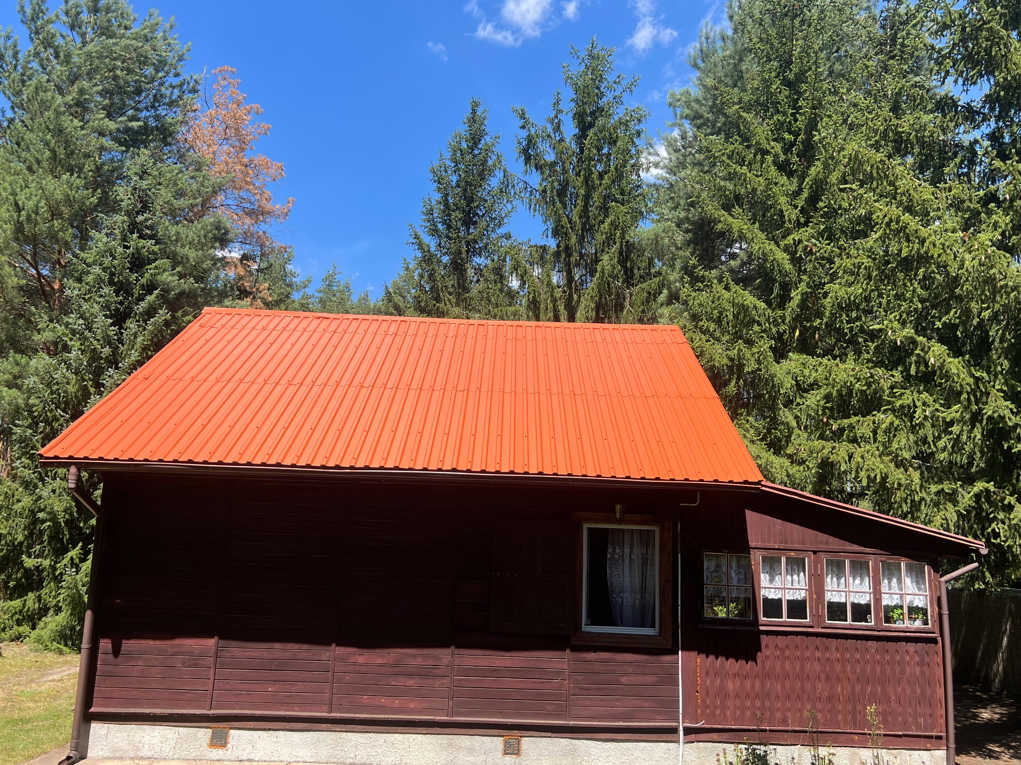 Czerwony, blaszany dach na ciemnobrązowym, drewnianym domu jednorodzinnym, otoczonym zielonymi drzewami i błękitnym niebem z chmurami. Widok z poziomu gruntu.