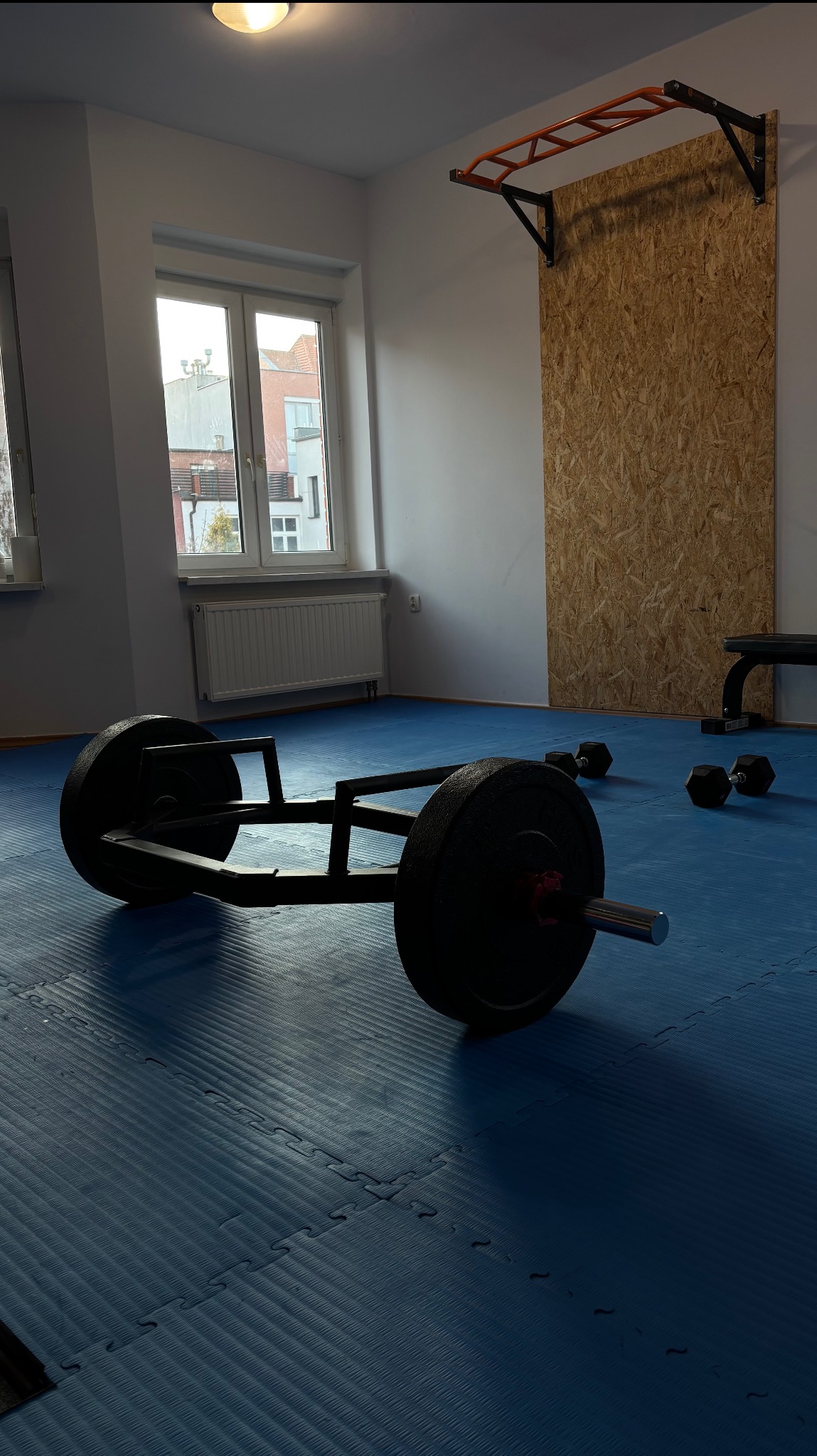 Profesjonalna siłownia z gryfem typu trap bar, hantlami i drabinką gimnastyczną na tle okna i ściany z płyty OSB.