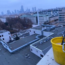 Wycinka drzew Warszawa 3