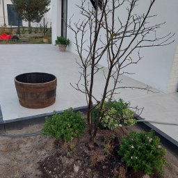 Układanie kostki brukowej Lębork 2