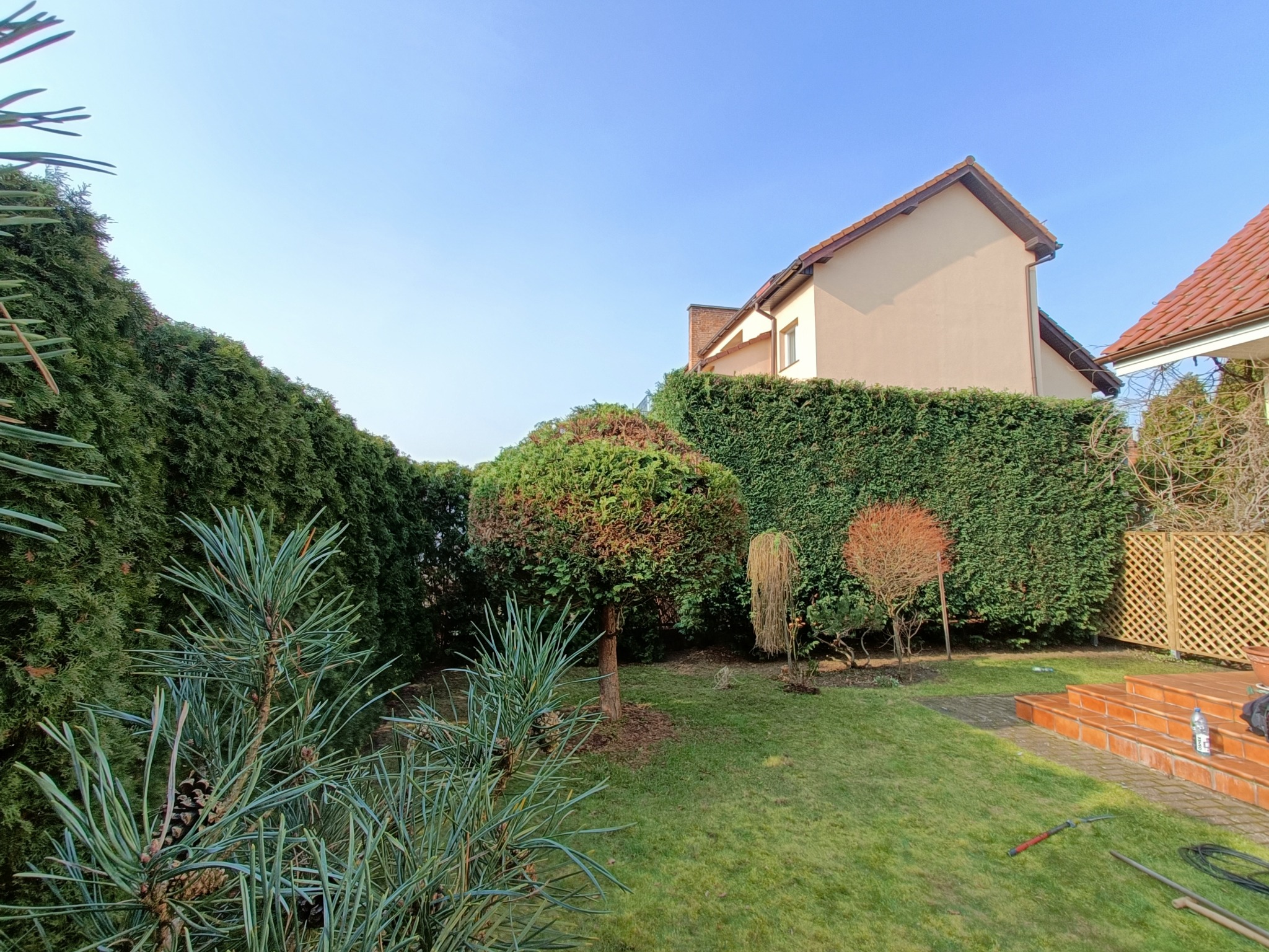 Przycinanie i stylizacja krzewów