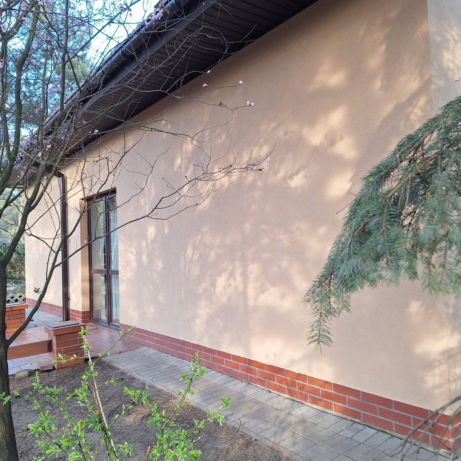 Jasna elewacja domu jednorodzinnego z ceglaną podmurówką, oświetlona naturalnym światłem słonecznym, z widocznymi gałęziami drzew i elementami zieleni.