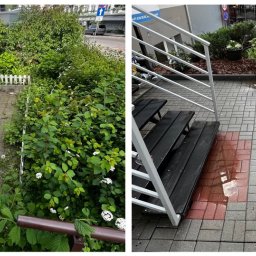 Zielony Tulipan - Porównanie kostki brukowej przed i po: zarośnięta roślinnością i czysta, mokra po umyciu, z widocznymi schodami wejściowymi.