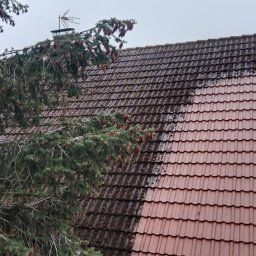 Zielony Tulipan - Częściowo oczyszczony dach z czerwonej dachówki, widoczna różnica między zabrudzoną a umytą powierzchnią, obok gałęzie drzewa iglastego.