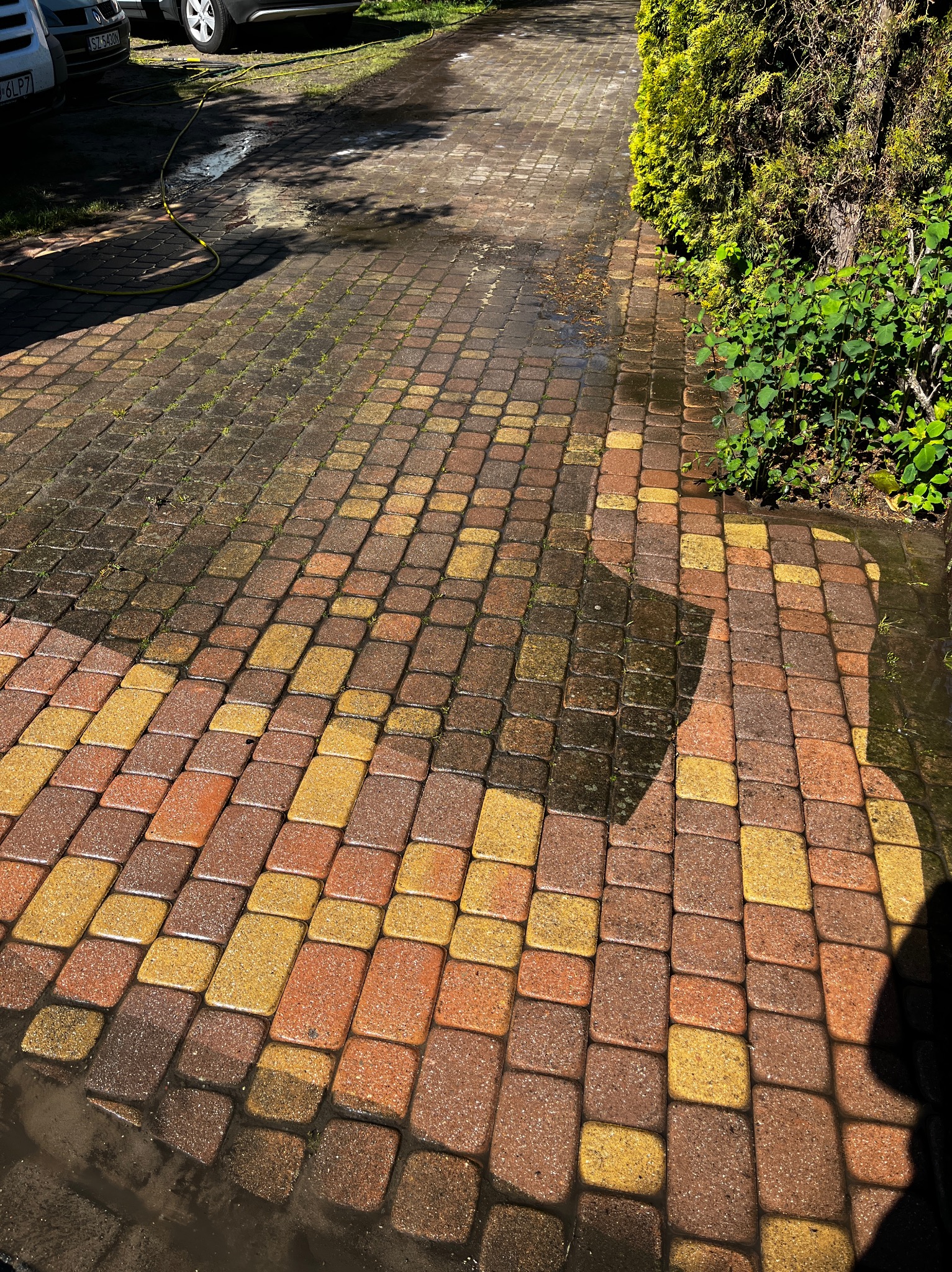 Kostka brukowa po czyszczeniu, widoczna różnica między umytą a brudną powierzchnią, obok rosnące krzewy.