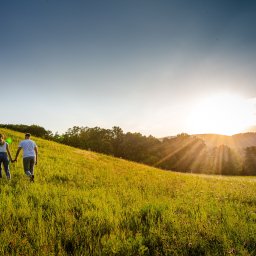 Studio filmowe Heniek Lucyna Jaszczyszyn - Para trzymająca się za ręce spaceruje po łące w promieniach zachodzącego słońca, w oddali widać zalesione wzgórza.