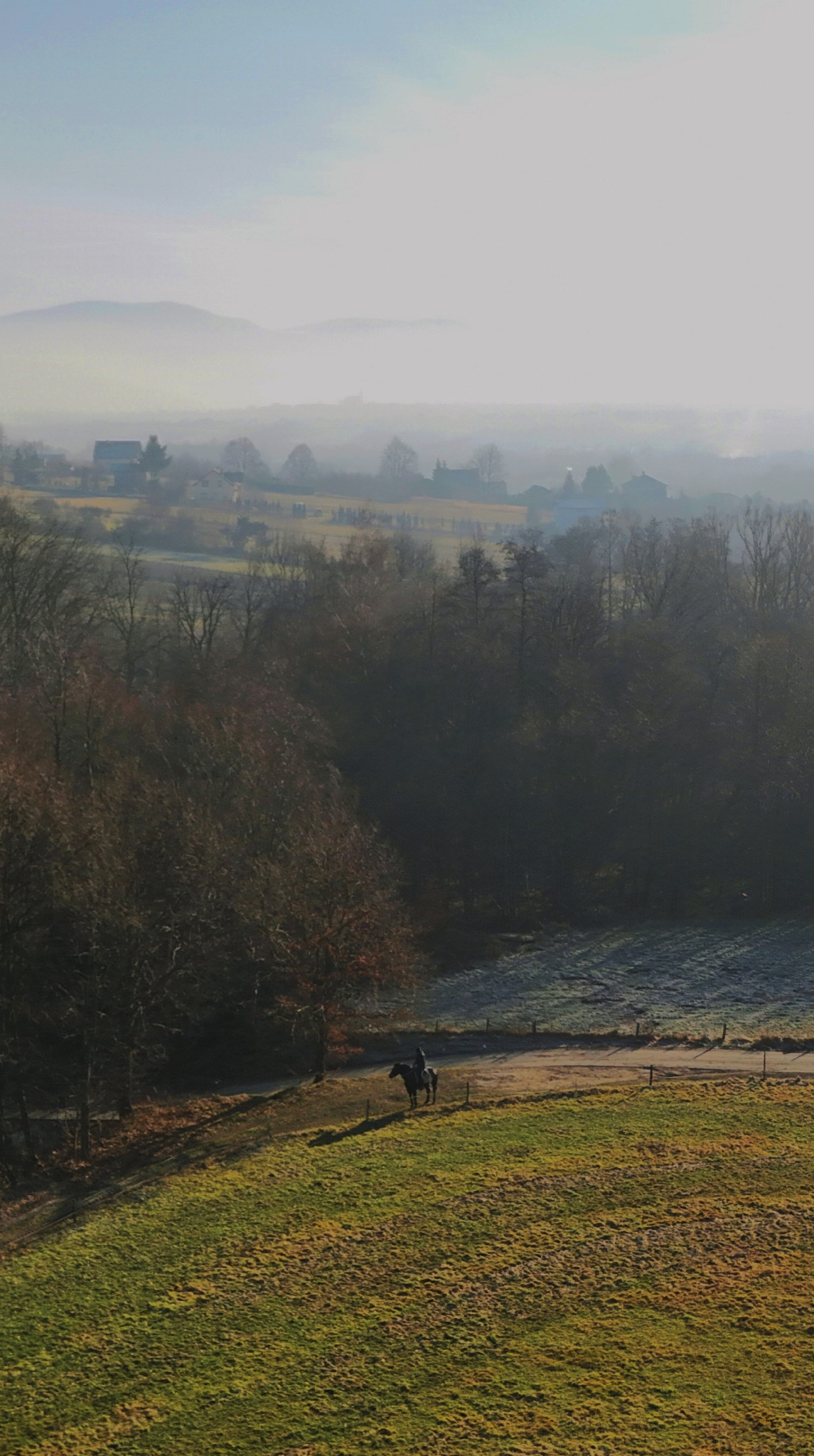 Jeździec na koniu na tle zamglonego krajobrazu z polami, lasami i zabudowaniami w oddali, wczesnym rankiem.