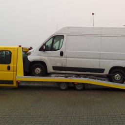 Transport ciężarowy Kołbaskowo 1