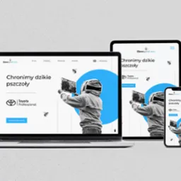 Strona internetowa, key visual, materiały graficzne