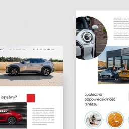 Branding, identyfikacja wizualna,
strony internetowe