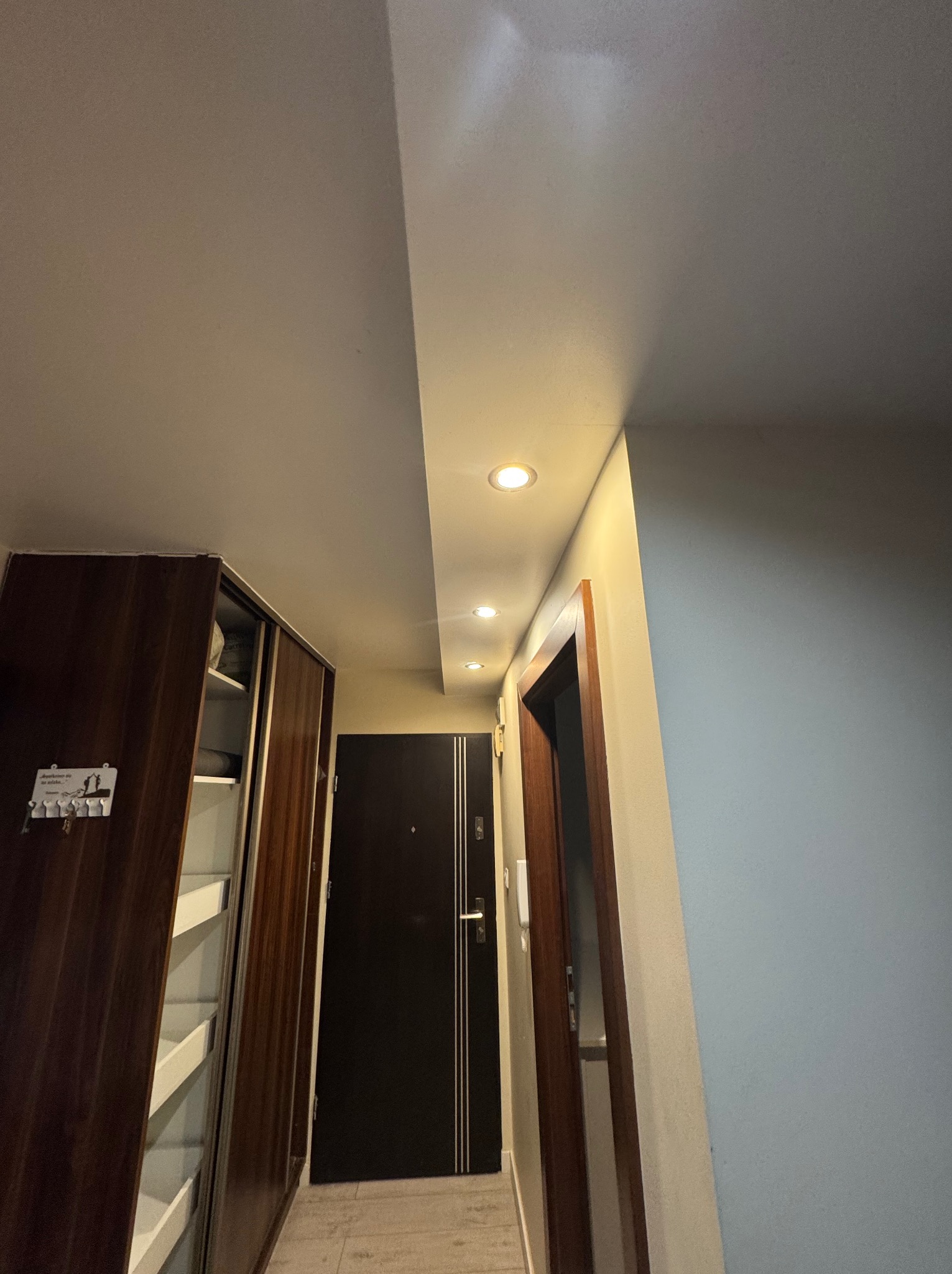 Korytarz z szafą w zabudowie, ciemnymi drzwiami z metalowymi wstawkami i oświetleniem punktowym w suficie.