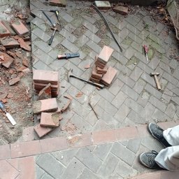 Wycinka drzew Łomianki 1