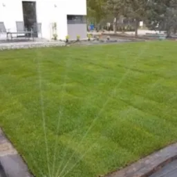 Zadbany trawnik z systemem nawadniania w ogrodzie w Głownie. Widoczne równo przystrzyżona trawa i zraszacze w trakcie pracy.