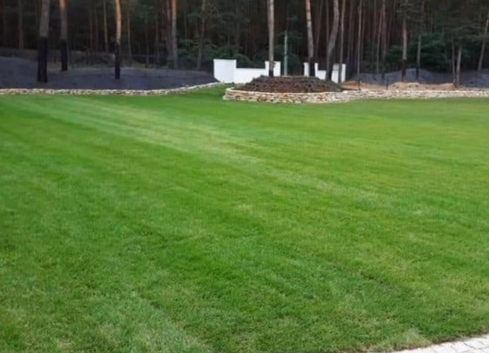 Idealnie przystrzyżony trawnik z wyraźnymi pasami, otoczony niskim kamiennym murkiem i drzewami w tle. Mała rabata kwiatowa na środku, w tle biała konstrukcja.