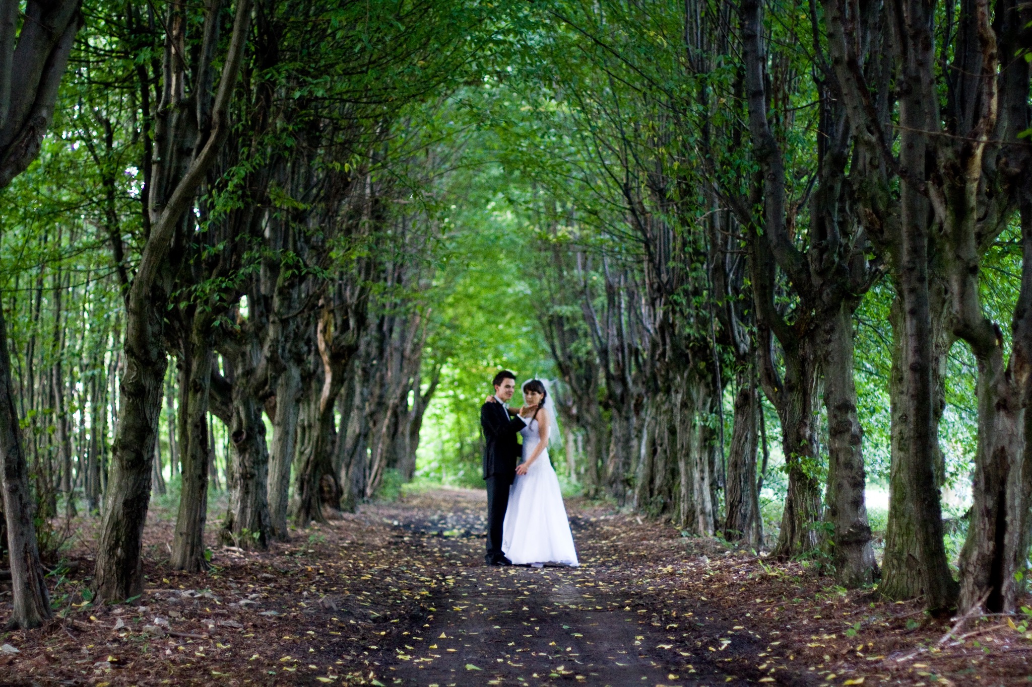 Para młoda w lesie, aleja drzew tworzy malowniczy tunel. Panna młoda w białej sukni, pan młody w czarnym garniturze. Romantyczna sceneria, naturalne światło.