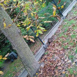 SpawO - Ukośne ujęcie metalowej siatki ogrodzeniowej z betonową podmurówką, zamontowanej na nierównym terenie, z drzewem na pierwszym planie i opadłymi liśćmi w tle.