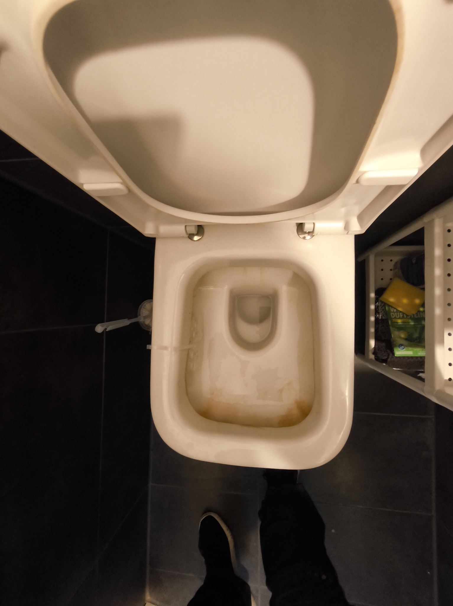 Z góry: toaleta z otwartą klapą, widoczne osady. Obok szafka z detergentami, szczotka do WC. Na dole fragment buta osoby robiącej zdjęcie. Ciemne płytki podłogowe.